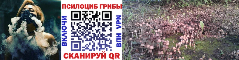 купить цена Томари Псилоцибиновые грибы MAGIC MUSHROOMS